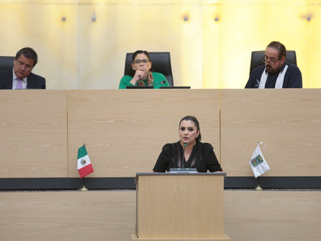 Promueven en el Congreso iniciativa para reconocer y proteger derechos de personas artesanas