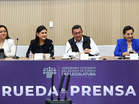 Propone Ana Lilia Tepole prohibir y sancionar el uso de armas simuladas para amenazar o cometer delitos