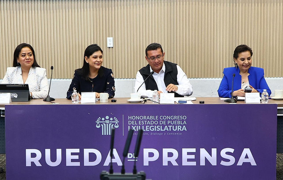 Propone Ana Lilia Tepole prohibir y sancionar el uso de armas simuladas para amenazar o cometer delitos