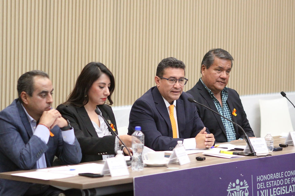 Con perspectiva de género e inclusión, el Congreso trabaja por la protección de mujeres y niñas: Pável Gaspar