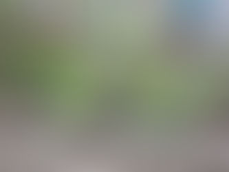 Encuentran hombre muerto entre la malla de una empresa en San Jerónimo Caleras