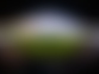 Medina y compañía comandan triunfo emplumado