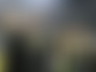 Pericos dice presente en la Serie Del Rey