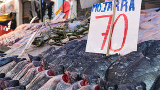 ¡Se activa la vigilia! Mariscos ganan terreno en Puebla, pero ventas fuertes aún no llegan