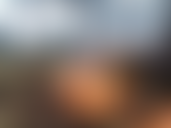 Mantiene Gobierno Estatal control de incendios forestales y protege ecosistemas