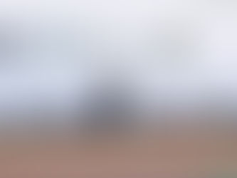 Alejandro Armenta Mier acompañó a Claudia Sheinbaum en la conmemoración del Día del Ejército