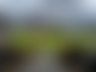 Vuelven a lucir los campeones vigentes de la Liga Invernal Mexicana en pretemporada