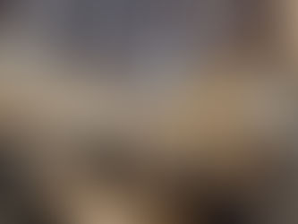 Avala Congreso del Estado acuerdo para impulsar Programa de Reforestación Estatal con especies nativas