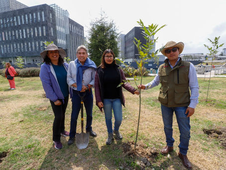 Gobierno Estatal y Ambientalistas Fortalecen Bosque Urbano del CIS