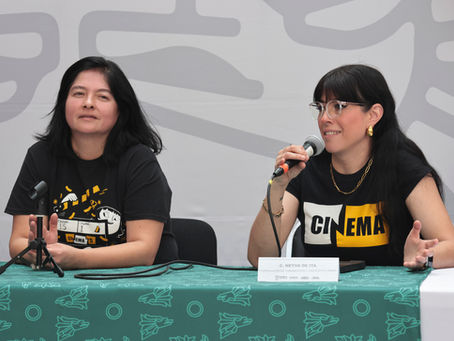Se aproxima el Festival de Cine “Mal Sueño” CINEMA