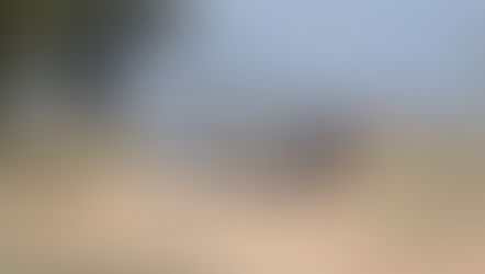 Macabro hallazgo en Coronango: encuentran cuerpo envuelto en bolsas a metros de otra escena violenta