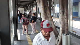 RUTA Línea 3 sigue operando pese a daños tras el 8M: estaciones ya fueron limpiadas