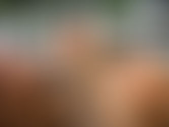 Puebla, referente nacional en el manejo y control del gusano barrenador del ganado