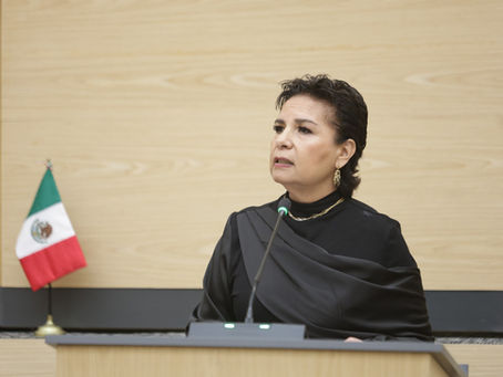 Propone diputada Beatriz Manrique incorporar políticas de cambio climático a nivel municipal