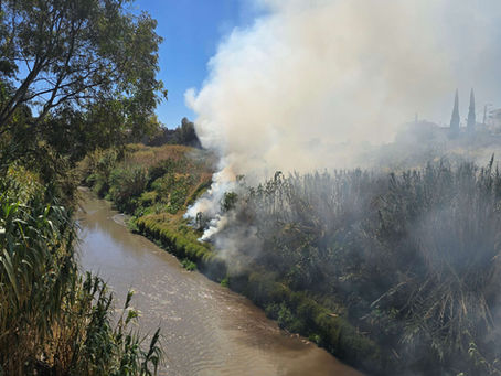 Incendio junto al río Alseseca alarma a vecinos; fuego alcanza puente usado por estudiantes
