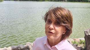 Administración de Laguna de San Baltazar busca capturar una cría de cocodrilo