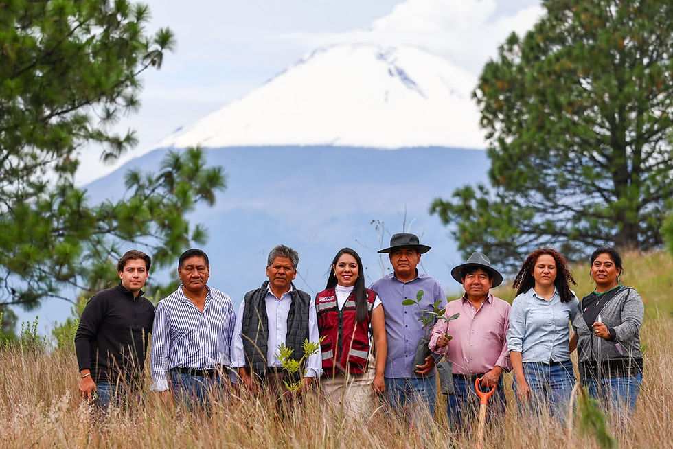Mantiene Tonantzin Fernández reforestaciones constantes en el Cerro Zapotecas