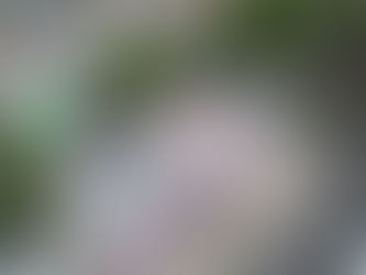 Entrega Ayuntamiento de Puebla rehabilitación del Parque Juan Pablo II