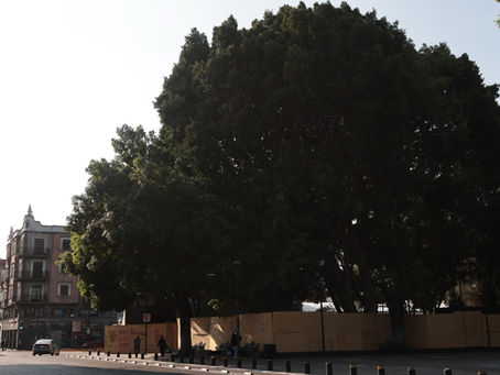 Vientos sacuden Puebla: ráfagas derriban vallas en Paseo Bravo y alertan a escuelas