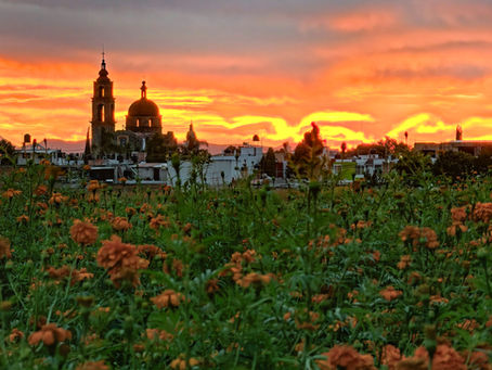 ¡Un amanecer de postal! Los campos de cempasúchil de Cholula se tiñen de naranja
