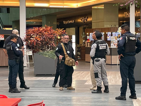 Asalto de película en Plaza Triángulo de las Ánimas: encapuchados roban joyería