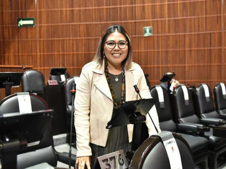 Genoveva Huerta pide reformar ley del seguro social a favor de trabajadores de plataformas digitales