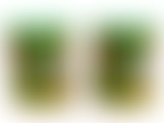 山政小山園 抹茶をBASEにてネット販売開始いたします