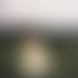 本気で応える身体