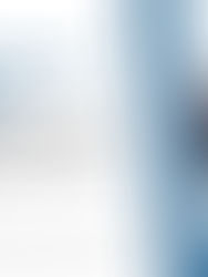 Best SEO Company in Chicago to Grow Your Business – Tech Alphonic.