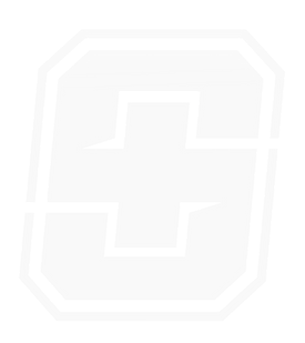 Grey Background