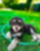 IMG_8859.jpeg