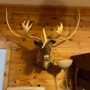 Room 4 Salmon River Outfitters