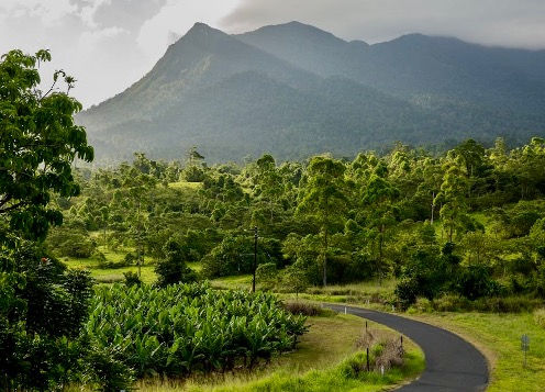 Top Hiking Trails Around Cairns: Explore the Best Views in Tropical North Queensland
Cairns isn’t just about the Great Barrier Reef—the surrounding landscapes are packed with stunning hiking trails for outdoor enthusiasts. Whether you’re craving panoramic views, rainforest adventures, or the challenge of Queensland’s tallest peak, there’s a trail for you. Here are five must-visit hiking spots around Cairns to add to your itinerary.
1. Mt Bartle Frere – Queensland’s Highest Mountain
If you're looking for a real challenge, Mt Bartle Frere in Queensland is the place to go. Standing at 1,611 meters, it's the highest peak in the area and offers a tough but rewarding hike.
The trail takes you through the beautiful rainforests of Wooroonooran National Park, showcasing a diverse ecosystem that nature lovers will appreciate. The 15-kilometer return hike is hard and best for experienced trekkers.
You'll enjoy stunning rainforest scenery, encounter unique wildlife, and after a tough climb, be rewarded with amazing views from the summit, stretching from the coast to the Atherton Tablelands.
To fully enjoy the hike, it's best to start early. Whether you're looking for a challenge or a chance to connect with nature, Mt Bartle Frere will give you a memorable experience.
2. White Rock Peak – Southern Cairns Views
Nestled away from the usual tourist spots, White Rock Peak is truly a hidden gem that offers breathtaking views over the southern end of Cairns. This hike is a wonderful escape into nature, guiding you through lush bushland that eventually unveils a dramatic lookout.
What makes White Rock Peak especially appealing is that it’s a shorter hike compared to other trails in the area, making it a fantastic choice for those who want a rewarding experience without committing to a lengthy trek. The 6 km return trail strikes a perfect balance between accessibility and adventure, inviting both seasoned hikers and casual walkers alike to enjoy its beauty.
As you navigate the trail, you’ll find it relatively quiet, allowing you to soak in the stunning southern views in a serene atmosphere. The peacefulness of the surroundings enhances the experience, making it a perfect spot for a little reflection or simply to appreciate the natural beauty around you.
When planning your visit, remember to pack some water and sunscreen. Certain sections of the trail are exposed to the sun, so it's wise to stay hydrated and protect your skin. Embrace the adventure and enjoy all that White Rock Peak has to offer!
3. Lambs Head (Kahlpahlim Rock) – Views Over Lake Morris
If you're in search of breathtaking views, Lambs Head, also known as Kahlpahlim Rock, is a must-visit destination.
Nestled within the lush expanse of Dinden National Park, this trail takes you on a captivating journey through dense rainforests, leading you to a stunning summit that offers sweeping vistas over Lake Morris and the surrounding mountain ranges.
The hike is approximately 12 kilometers round trip and presents a moderate to hard challenge, making it perfect for adventurous spirits. As you ascend, you'll be treated to remarkable scenery that showcases the beauty of the remote rainforest, providing a serene escape from the hustle and bustle of city life.
One essential tip for this trek: be sure to wear sturdy footwear, as sections of the trail can be steep and rocky. So lace up your boots, equip yourself with plenty of water, and get ready to experience the scenic wonder that Lambs Head has to offer!
4. Glacier Rock / The Douglas Track – City and Ocean Views
One of the most accessible and rewarding hikes near Cairns is the Glacier Rock trail via The Douglas Track.
This scenic trail beautifully blends history and nature, following the same route once traversed by railway workers. As you make your way to the lookout point, you'll be treated to breathtaking views of Cairns city and the Coral Sea.
The trail stretches approximately 8 kilometers for a return journey and is considered moderate in difficulty. Along the way, you'll enjoy a refreshing rainforest walk, discover remnants of the historical railway, and take in stunning city and ocean vistas.
For the best experience, consider embarking on this hike at sunrise or sunset when the lighting casts a magical glow over the coastline. Whether you're an avid hiker or just looking for a beautiful spot to enjoy nature, Glacier Rock via The Douglas Track is a must-visit.
4. Walshs Pyramid – Conquer the Iconic Peak
Walshs Pyramid stands at 922 meters and is located just south of Cairns. It is the tallest freestanding pyramid in the world. This peak offers a challenging climb and stunning views that reward your effort.
The trek to the top is about 6 kilometres round trip and is hard, featuring a steep ascent. However, the views from the summit are worth it. You will see 360-degree panoramas of the beautiful landscape around you.
If you plan to climb Walshs Pyramid, it's best to go during the dry season from May to October. This time offers safer conditions and a more enjoyable experience. Climbing Walshs Pyramid is not just about reaching the top; it’s also about appreciating the journey and the amazing sights along the way.
Explore Cairns with Simba Car Hire
With so many incredible hiking trails to discover, having the freedom to explore at your own pace is essential. At Simba Car Hire, we make it easy to access these natural wonders with reliable vehicles suited for all your adventures. Whether you’re tackling Mt Bartle Frere or chasing the views from Walshs Pyramid, we’ve got you covered.
Book your Cairns adventure today with Simba Car Hire and start exploring!