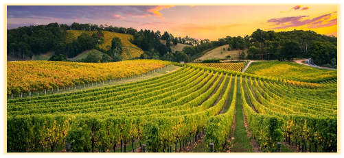 Car Rental Adelaide