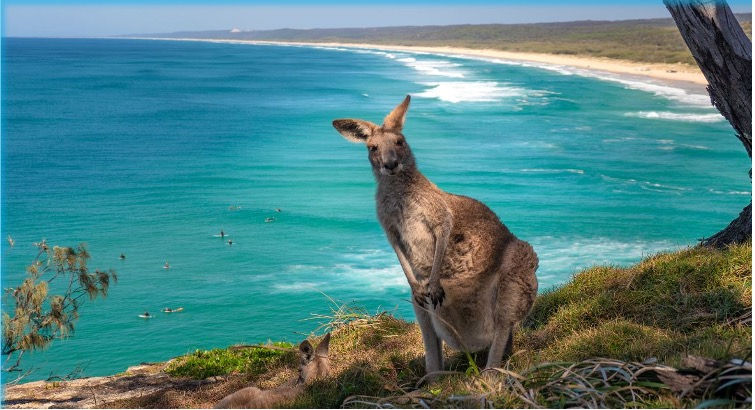 Car Rental Adelaide Kangaroo Island with Simba Car Hire