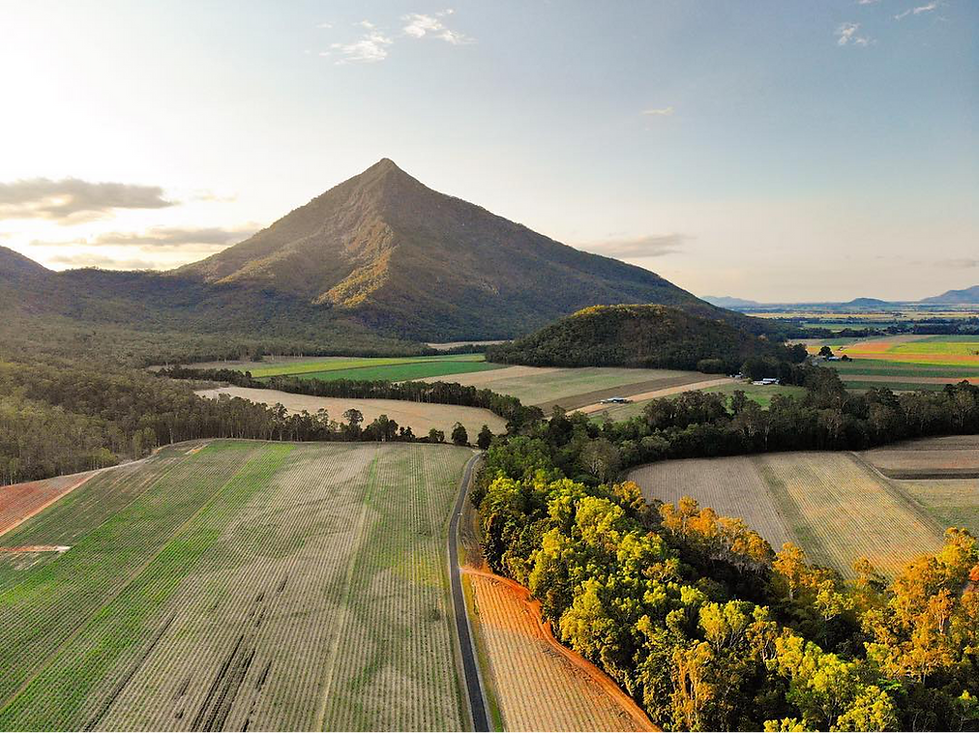 Top Hiking Trails Around Cairns: Explore the Best Views in Tropical North Queensland
Cairns isn’t just about the Great Barrier Reef—the surrounding landscapes are packed with stunning hiking trails for outdoor enthusiasts. Whether you’re craving panoramic views, rainforest adventures, or the challenge of Queensland’s tallest peak, there’s a trail for you. Here are five must-visit hiking spots around Cairns to add to your itinerary.
1. Mt Bartle Frere – Queensland’s Highest Mountain
If you're looking for a real challenge, Mt Bartle Frere in Queensland is the place to go. Standing at 1,611 meters, it's the highest peak in the area and offers a tough but rewarding hike.
The trail takes you through the beautiful rainforests of Wooroonooran National Park, showcasing a diverse ecosystem that nature lovers will appreciate. The 15-kilometer return hike is hard and best for experienced trekkers.
You'll enjoy stunning rainforest scenery, encounter unique wildlife, and after a tough climb, be rewarded with amazing views from the summit, stretching from the coast to the Atherton Tablelands.
To fully enjoy the hike, it's best to start early. Whether you're looking for a challenge or a chance to connect with nature, Mt Bartle Frere will give you a memorable experience.
2. White Rock Peak – Southern Cairns Views
Nestled away from the usual tourist spots, White Rock Peak is truly a hidden gem that offers breathtaking views over the southern end of Cairns. This hike is a wonderful escape into nature, guiding you through lush bushland that eventually unveils a dramatic lookout.
What makes White Rock Peak especially appealing is that it’s a shorter hike compared to other trails in the area, making it a fantastic choice for those who want a rewarding experience without committing to a lengthy trek. The 6 km return trail strikes a perfect balance between accessibility and adventure, inviting both seasoned hikers and casual walkers alike to enjoy its beauty.
As you navigate the trail, you’ll find it relatively quiet, allowing you to soak in the stunning southern views in a serene atmosphere. The peacefulness of the surroundings enhances the experience, making it a perfect spot for a little reflection or simply to appreciate the natural beauty around you.
When planning your visit, remember to pack some water and sunscreen. Certain sections of the trail are exposed to the sun, so it's wise to stay hydrated and protect your skin. Embrace the adventure and enjoy all that White Rock Peak has to offer!
3. Lambs Head (Kahlpahlim Rock) – Views Over Lake Morris
If you're in search of breathtaking views, Lambs Head, also known as Kahlpahlim Rock, is a must-visit destination.
Nestled within the lush expanse of Dinden National Park, this trail takes you on a captivating journey through dense rainforests, leading you to a stunning summit that offers sweeping vistas over Lake Morris and the surrounding mountain ranges.
The hike is approximately 12 kilometers round trip and presents a moderate to hard challenge, making it perfect for adventurous spirits. As you ascend, you'll be treated to remarkable scenery that showcases the beauty of the remote rainforest, providing a serene escape from the hustle and bustle of city life.
One essential tip for this trek: be sure to wear sturdy footwear, as sections of the trail can be steep and rocky. So lace up your boots, equip yourself with plenty of water, and get ready to experience the scenic wonder that Lambs Head has to offer!
4. Glacier Rock / The Douglas Track – City and Ocean Views
One of the most accessible and rewarding hikes near Cairns is the Glacier Rock trail via The Douglas Track.
This scenic trail beautifully blends history and nature, following the same route once traversed by railway workers. As you make your way to the lookout point, you'll be treated to breathtaking views of Cairns city and the Coral Sea.
The trail stretches approximately 8 kilometers for a return journey and is considered moderate in difficulty. Along the way, you'll enjoy a refreshing rainforest walk, discover remnants of the historical railway, and take in stunning city and ocean vistas.
For the best experience, consider embarking on this hike at sunrise or sunset when the lighting casts a magical glow over the coastline. Whether you're an avid hiker or just looking for a beautiful spot to enjoy nature, Glacier Rock via The Douglas Track is a must-visit.
4. Walshs Pyramid – Conquer the Iconic Peak
Walshs Pyramid stands at 922 meters and is located just south of Cairns. It is the tallest freestanding pyramid in the world. This peak offers a challenging climb and stunning views that reward your effort.
The trek to the top is about 6 kilometres round trip and is hard, featuring a steep ascent. However, the views from the summit are worth it. You will see 360-degree panoramas of the beautiful landscape around you.
If you plan to climb Walshs Pyramid, it's best to go during the dry season from May to October. This time offers safer conditions and a more enjoyable experience. Climbing Walshs Pyramid is not just about reaching the top; it’s also about appreciating the journey and the amazing sights along the way.
Explore Cairns with Simba Car Hire
With so many incredible hiking trails to discover, having the freedom to explore at your own pace is essential. At Simba Car Hire, we make it easy to access these natural wonders with reliable vehicles suited for all your adventures. Whether you’re tackling Mt Bartle Frere or chasing the views from Walshs Pyramid, we’ve got you covered.
Book your Cairns adventure today with Simba Car Hire and start exploring!