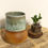 Thumbnail: Curvilinear Celadon Vase