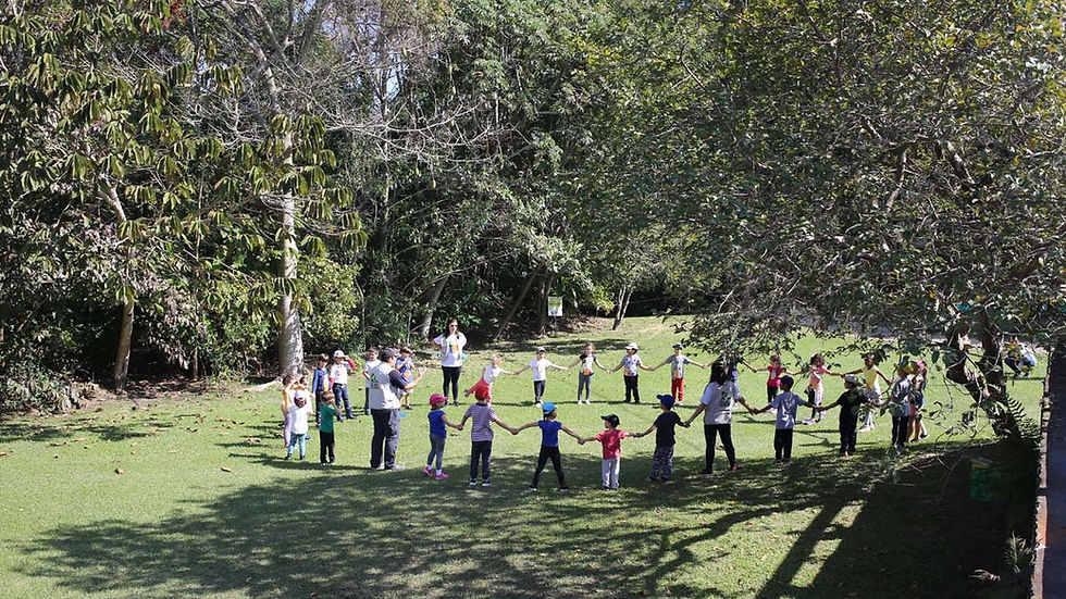 Campo dos sonhos: Como duas crianças ajudam a salvar a Mata Atlântica