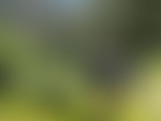 Be responsible on the Trail, Leave No Trace!