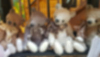 aviary-image-1574855242861.jpeg