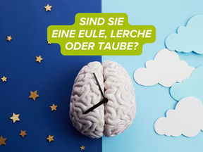Gehirn mit Uhrzeigern auf Hintergrund geteilt Tag und Nacht - Text: Sind sie eine Eule, Lerche oder Taube?