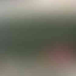 Stärken stärken Workshops 2025 - Polarstern - SIPCAN - MS Neubaugasse - Die MINKT-Schule