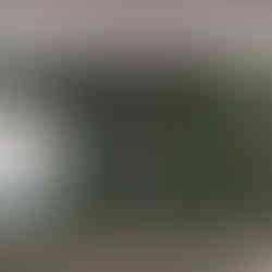 Stärken stärken Workshops 2025 - Polarstern - SIPCAN - MS Neubaugasse - Die MINKT-Schule