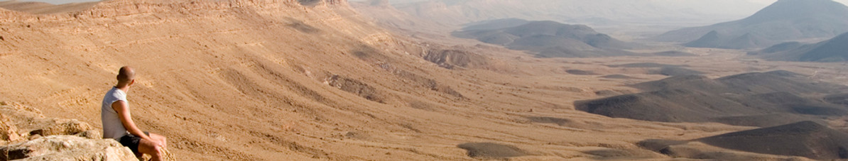 Desert View