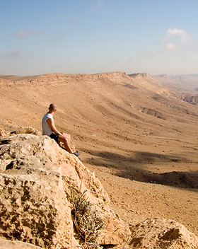 Desert View