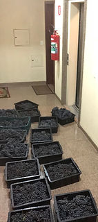 3 - IMG_4991_edited.jpg