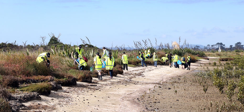 Puhinui High Res (5)_edited.jpg