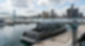 image (8).png