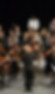 2 orchestra.jpg