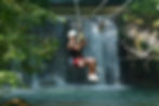 Tourists ziplining across the canopy near YS Falls, experiencing adventure amidst nature.